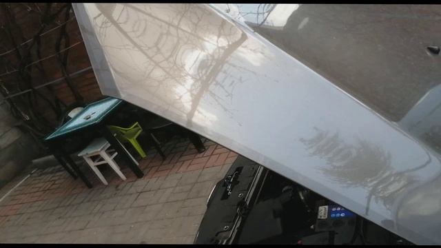 Осмотр калина