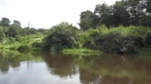 Сплав по реке Ловать