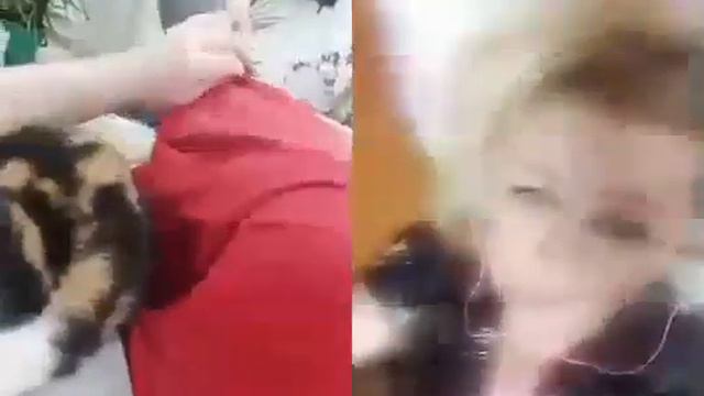 Подорожник трава смотреть онлайн