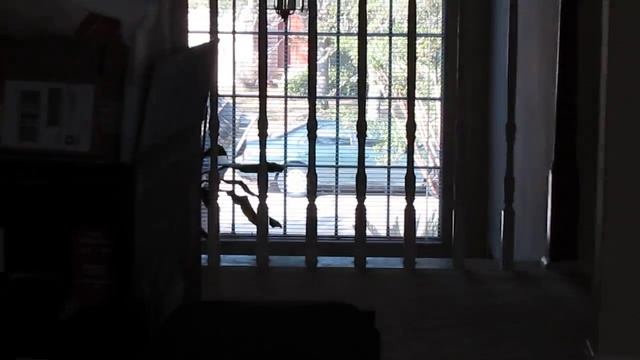 Canon SX210 IS HD Video Sample смотреть онлайн