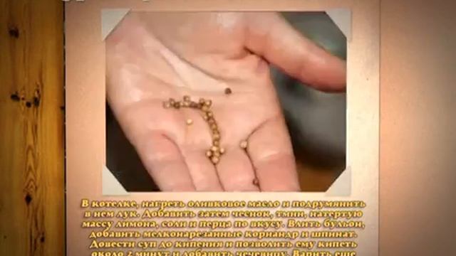 Кулинарно-литературная программа