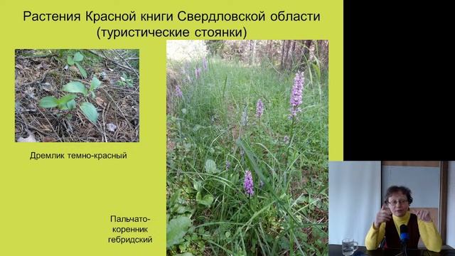 Как растения "чувствуют" себя на охраняемых территориях, и как ученные проводят их мониторинг смотреть онлайн