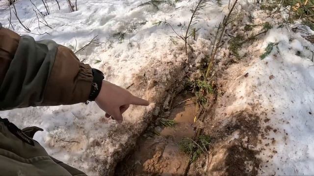 Застрял в тайге. смотреть онлайн