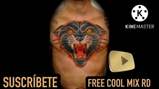 ?Increíbles Ideas De Tatuajes De Panteras Negras? @freecoolmixrd