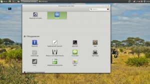 Настройка Линукс Минт 18.1-1. Первоначальная настройка.