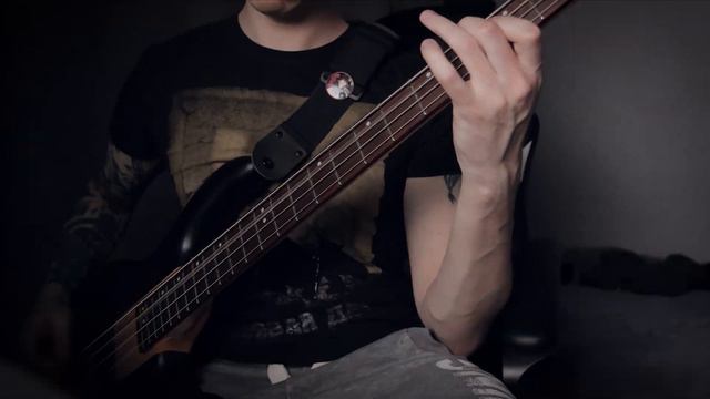 Ленинград - Мамба (bass cover) смотреть онлайн
