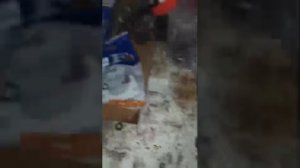 Astra G замена передних сайлентблоков