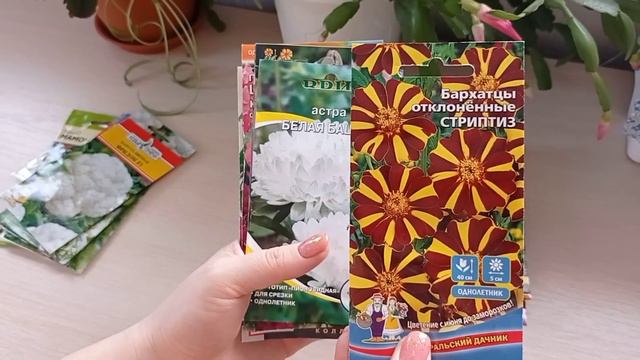 Последняя закупка семян на 2024 год . смотреть онлайн