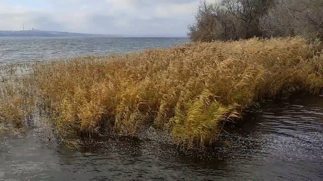 Убывающая луна с 20 ноября - 3 декабря 2021. Период очищения. Что нужно сделать и чего делать нельз смотреть онлайн