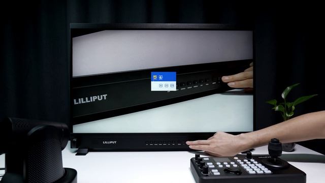 LILLIPUT 31.5