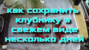 Как сохранить клубнику в свежем виде несколько дней.