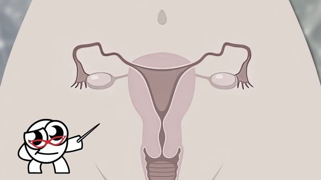 Most Bizarre Pregnancy Cases смотреть онлайн