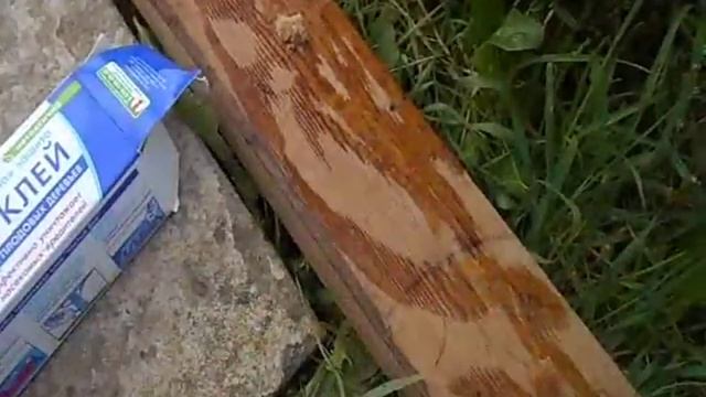 Где супер а где нет.Клей против мышей грызунов на даче - огороде смотреть онлайн