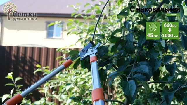 Высоторезы и сучкорезы смотреть онлайн