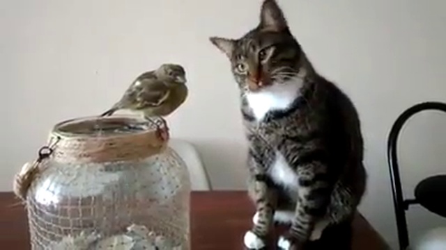 знакомство смотреть онлайн