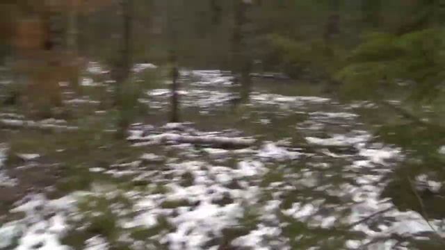 Проверка капканов на куницу смотреть онлайн