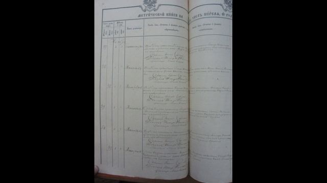 Метрическая книга Архангельской церкви села Казачий Дюк Шацкого уезда за 1903 год смотреть онлайн