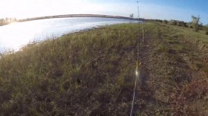 КАРП на силиконовую КУКУРУЗУ! nrg FISHING