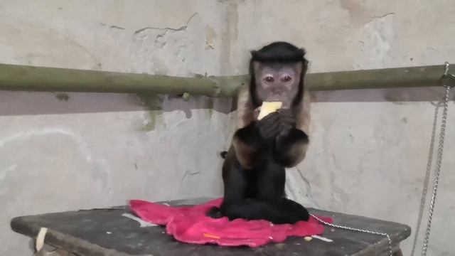 Ужасы моего дома! смотреть онлайн