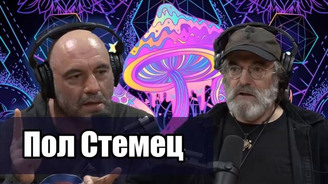 Джо Роган подкаст с Полом Стеметсом. Второй визит (Часть 6/10) смотреть онлайн