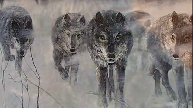 Михаил Пришвин "Белый ожерёлок" смотреть онлайн