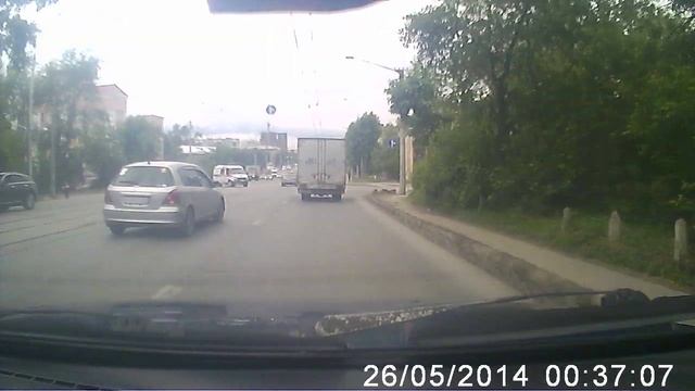 Коршун схватил котенка. смотреть онлайн