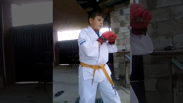 Приёмы по карате смотреть онлайн