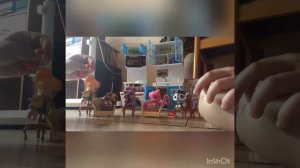 Новая серия ! Дети хотят в туалет 🚽