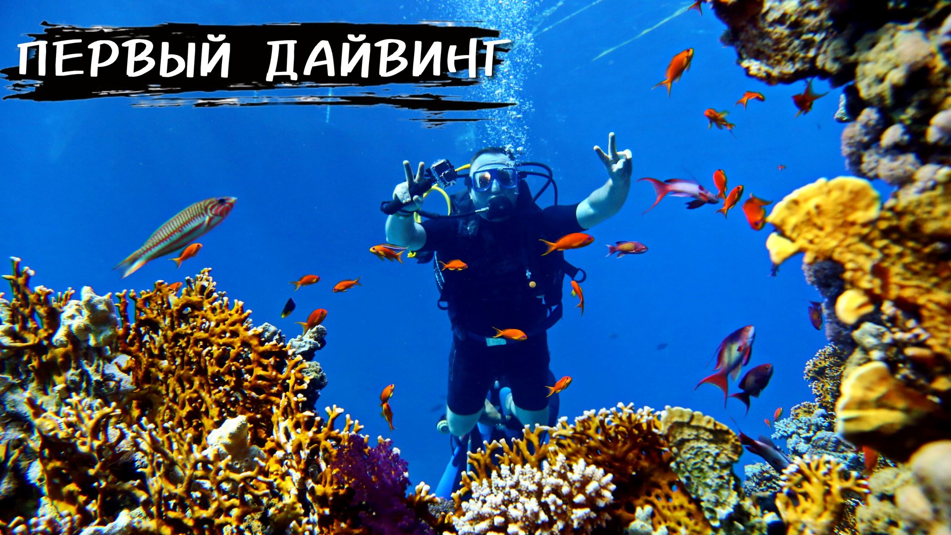 Дайвинг в Египте  ??  ПЕРВОЕ погружение | ВИДЕО с подводной съёмкой | Красное море,  Шарм эль Шейх