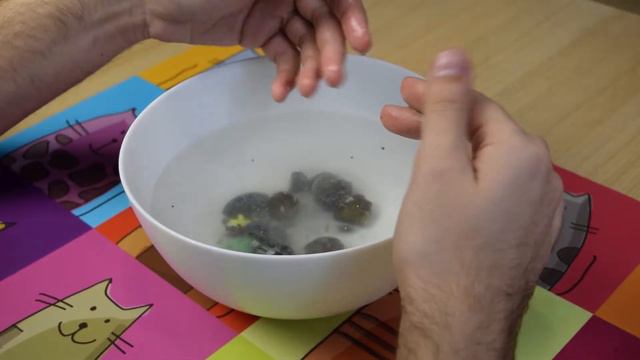 Динозавры из яиц, что за диво? смотреть онлайн