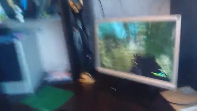 Мальчик 10-ти лет играет в crysis не умея играть в него часть 2 смотреть онлайн