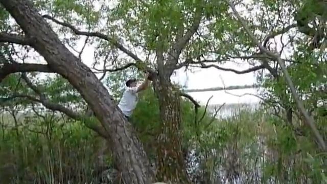 Применение нагрузки на прибор Minelab (для 4turista.ru) смотреть онлайн