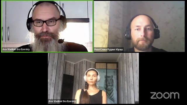 35 04 03 / Cognito Campus – Условия возникновения синергитических феноменов сценария света смотреть онлайн