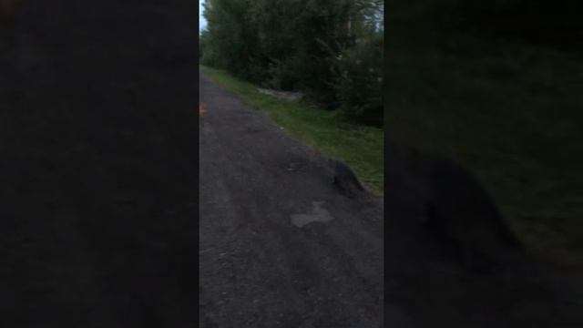 Руководство к Успеху