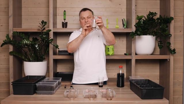 Всё, что нужно для здоровой рассады помидоров смотреть онлайн