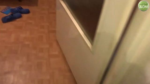 Как жить с тараканами и клопами в квартире. смотреть онлайн