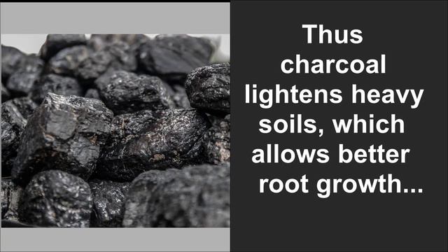 Benefits of Charcoal for Plants смотреть онлайн