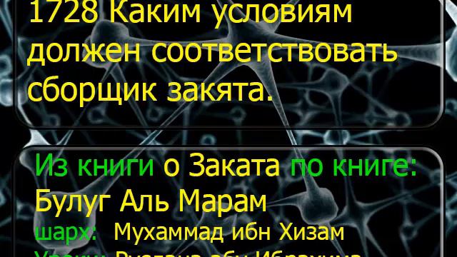 1728 Каким условиям должен соответствовать сборщик закята смотреть онлайн