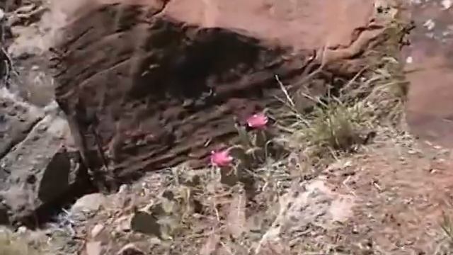 Тропы в национальном парке Zion. 7."Сторожевая скала" смотреть онлайн