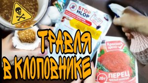 Средство от мраморного КЛОПА, которое нам ПОМОГЛО