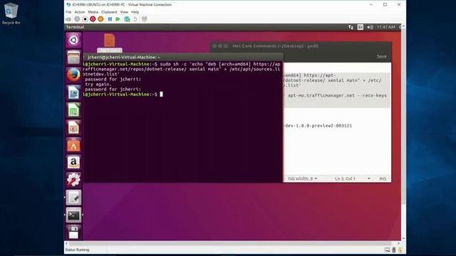 Linux - Asp.Net Core Installation on Ubuntu смотреть онлайн