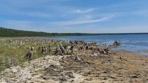 14.08-2023 г. Озеро Чебакуль имеет кое-что общее с озером Чебаркуль, но не многие знают этот факт.