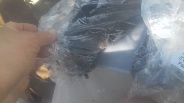 посылка из Садового Мира и посадка,полученых саженцев смотреть онлайн