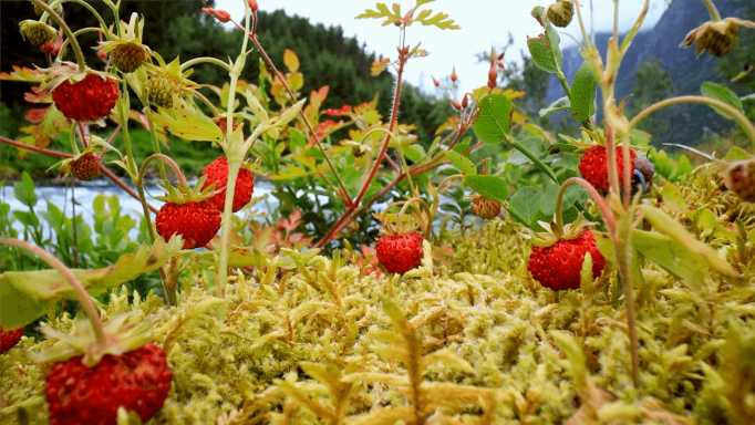 Твое настроение сразу улучшится. Красивая музыка заряжает энергией на весь день! смотреть онлайн