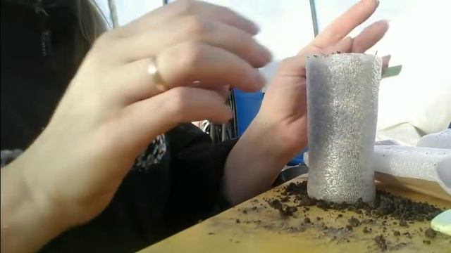 Бесплатные емкости для любой рассады. Сорта томатов 2018 года. смотреть онлайн