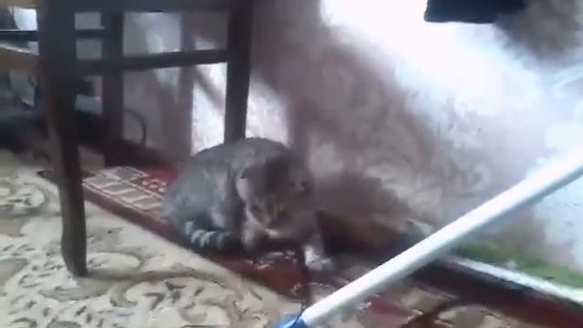 Опять блог Бусинки?/Сказка про принцессу и рыцаря?? смотреть онлайн