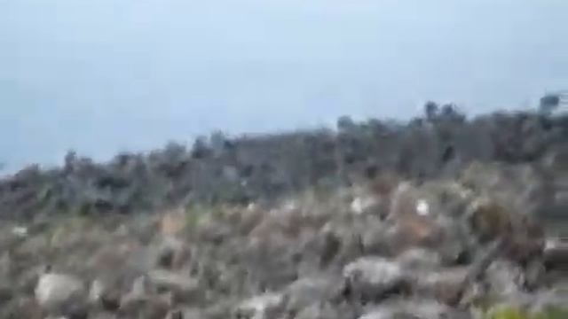 Сом в Чайковском ещё есть смотреть онлайн