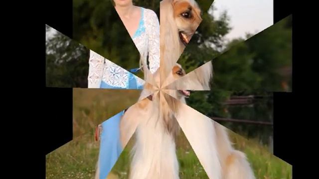 Джеффари - Афган. вл. Ю. Субботина смотреть онлайн