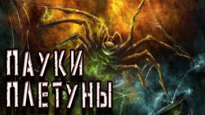 Пауки плетущие МНОООГО паутины