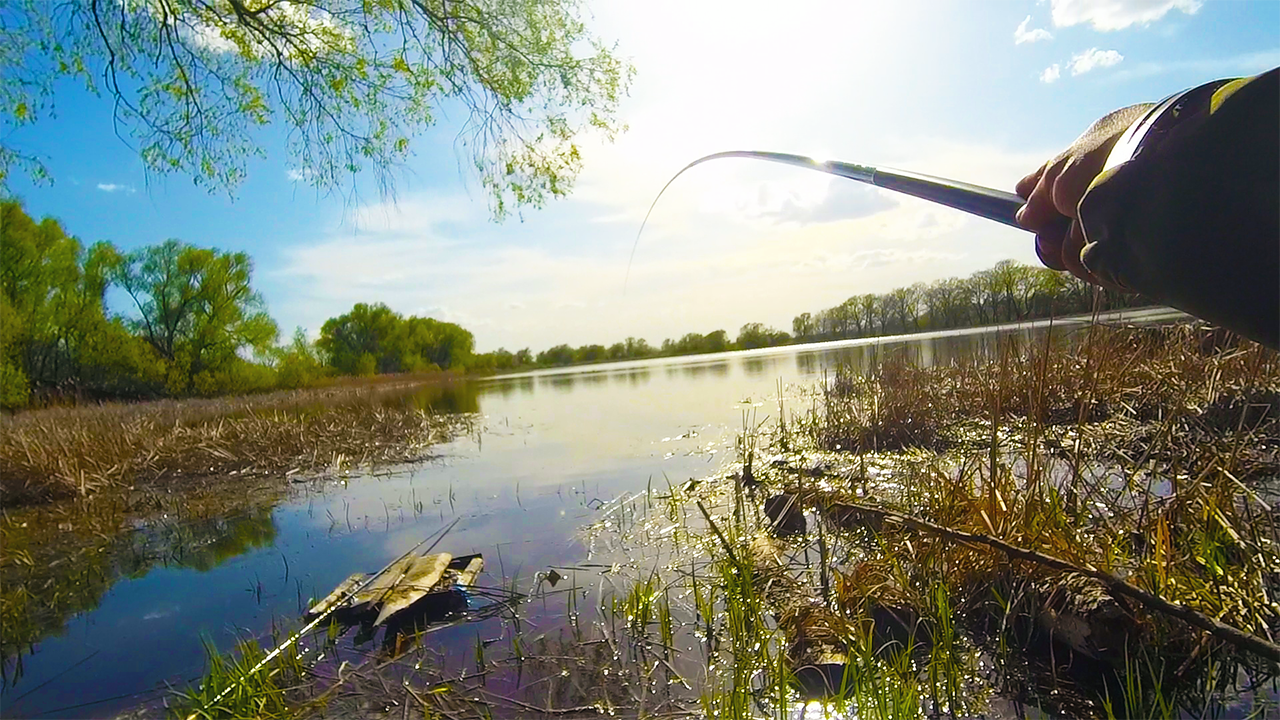 Я В ШОКЕ ОТ ТАКОГО КЛЕВА!! ПЕРВЫЙ РАЗ ТАКОЕ ВИЖУ, ЭТО РЫБАЛКА НА КАРАСЯ!! Рыбалка на ПОПЛАВОК 2024